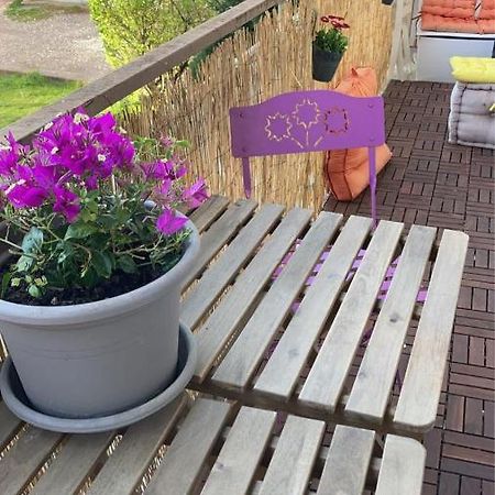 Appartement Cosy Dijon Bagian luar foto